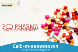 Pcd Pharma Franchise in Delhi 