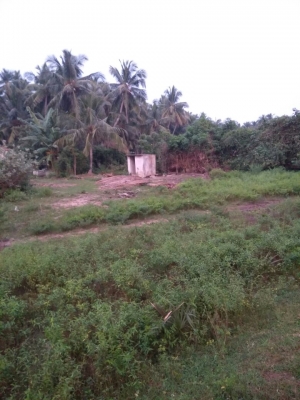 8.84 acres agricultural land for sale Pudupattinam-Nerumbur 