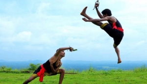 Mix Martial Art  In Faridabad