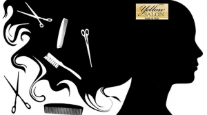 Hair Care Treatment Services for Women - Surat