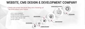 Zinavo | Web Designing and SEO Company Malleswaram