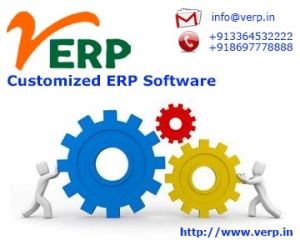 ERP consultant | vERP