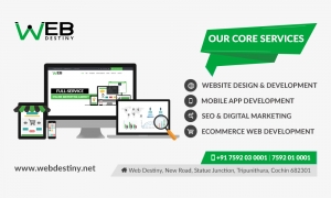 Web Design Company India | Web Destiny