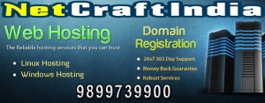 Shared web hosting company in delhi