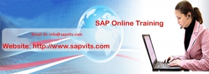 SAP Online Training in Delhi