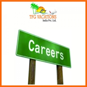 Online Marketing Work Online Jobs From TFG Vacations Pvt. Lt