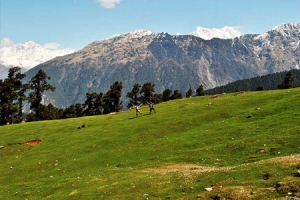 Tour and Travel packages in Chopta at Devariya Guest House