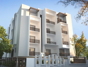 2BHK Flats in Kotturpuram for Sale