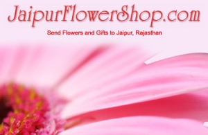 Send Cakes to Jaipur Online with delightful surprises