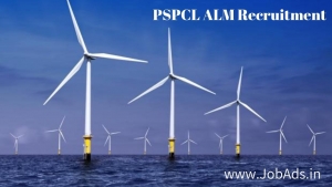 PSPCL ALM Recruitment 2019