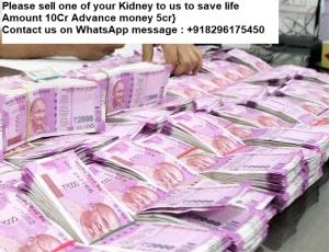 How you can sell one of your of kidney legally
