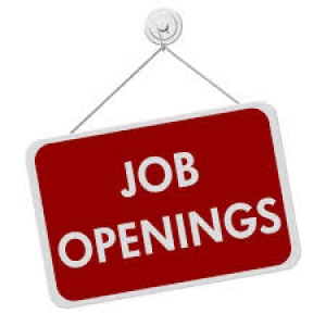 Part Time Jobs For Student/Fresher