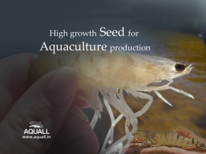 Aquaculture Seed Suppliers from Online in India – Aquall