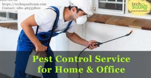 Pest Control Service in Bangalore By TechSquadTeam