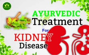 Ayurvedic Treatment For Kidney Disease