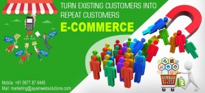 Ecommerce Website Development In Chennai, Ecommerce Developm