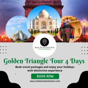India Travel Solution(ITS)