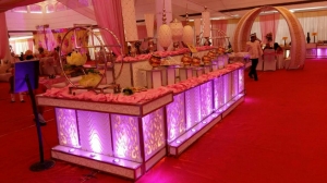 Experience the best Catering in Noida