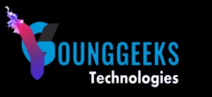 Top SEO Company in Noida, Younggeeks.in
