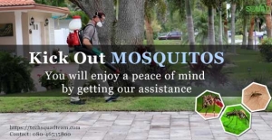  Mosquito Pest Control Services Bangalore