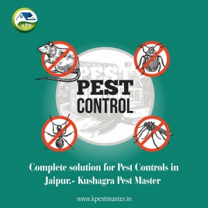 Best Pest Control Services in Udaipur