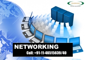 Networking Solutions Company in Delhi