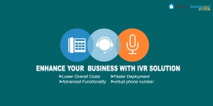 Hosted IVR | Virtual Receptionist | Cloud IVR Services in De