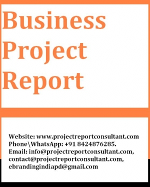  The best services of Business project report writing 