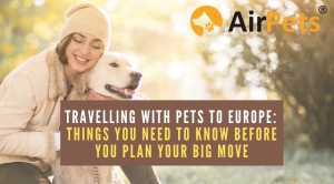 Travelling with Pets to Europe: Things you need to know befo