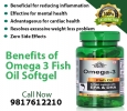 Cipzer Delight Panjeeri helps soothe sore muscles, lubricate