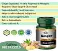 Ginger Capsules cure diseases in the digestive system & effe