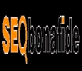 SEO Bonafide - Best Web Design Company