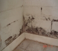 Waterproofing Contractors for Bathroom in Marathahalli