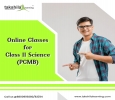 Online Tuition for Class 11 Science - CBSE/ ICSE Board