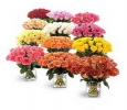 Get Flowers With Best Florist In Bangalore