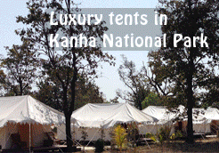BaghVillas- Experience the Nature in Kanha
