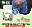 Natural Brain Function Booster Supplement