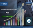 CBAP Online Training