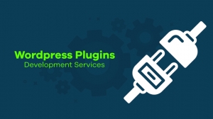 WordPress Plugin Development services Company in India