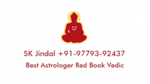 Vashikaran Girlfriend Or Boyfriend+91-9779392437