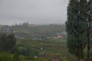Hot Plot for sale in Ooty
