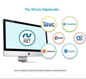 Customize Software Development Company