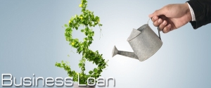 PURCHASE LOANS Bangalore,Malleswaram