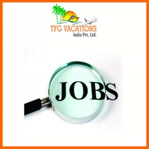 Tourism Company Hiring Candidates For Online Promotion TFG V