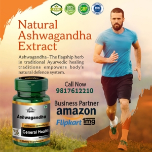 Cipzer Ashwagandha Capsules calm the brain, lower blood pres