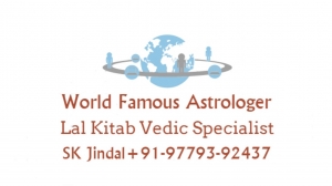 Business solutions by best astrologer+91-9779392437