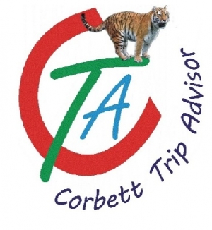 VIP stay at Corbett Tiger Reserve