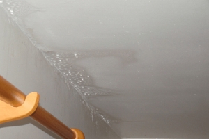 Water Leakage Waterproofing solutions in  Indiranagar