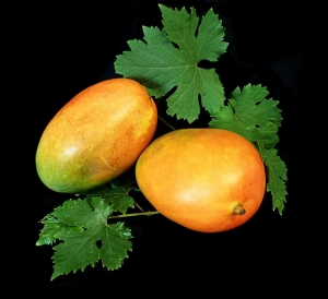 Order Mangoes Online Pune