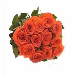 OyeGifts - Best Online Flower Delivery Across Chandigarh